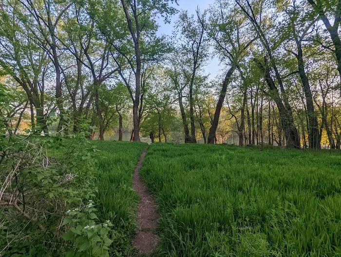 Calico Rocks Campsite Picture 10