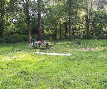 Calico Rocks Campsite