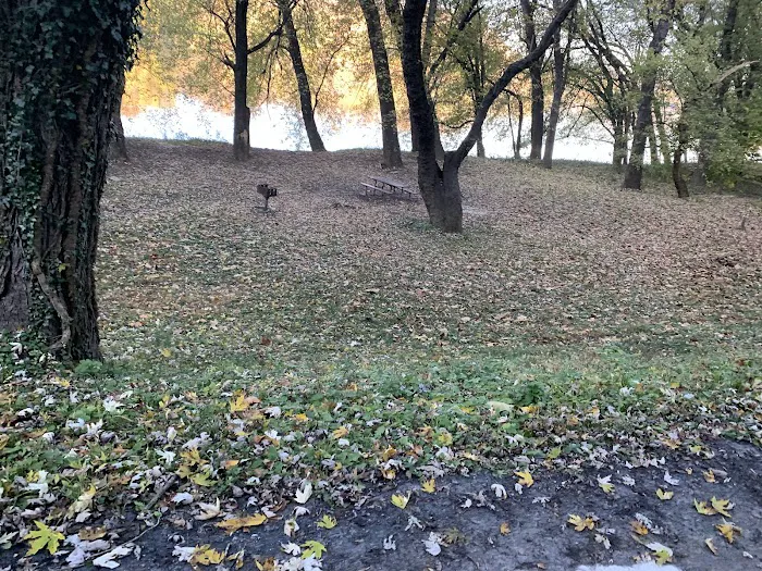 Bald Eagle Hiker Camper Campsite Picture 4