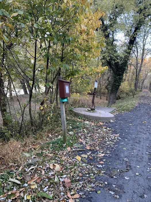 Bald Eagle Hiker Camper Campsite Picture 3