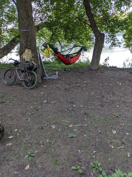 Bald Eagle Hiker Camper Campsite Picture 5