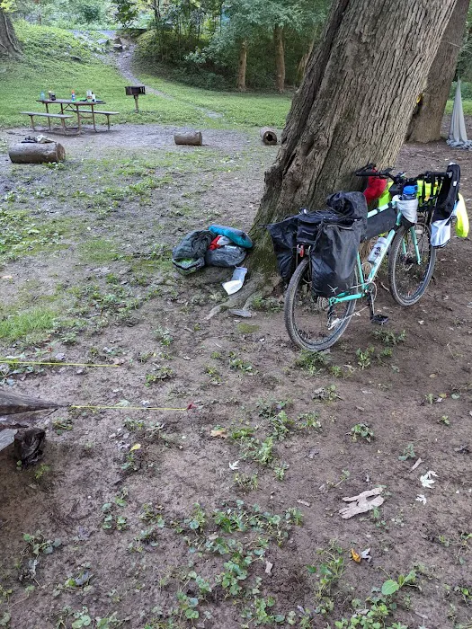 Bald Eagle Hiker Camper Campsite Picture 6