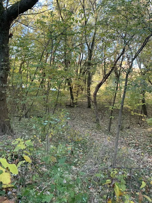 Bald Eagle Hiker Camper Campsite Picture 2