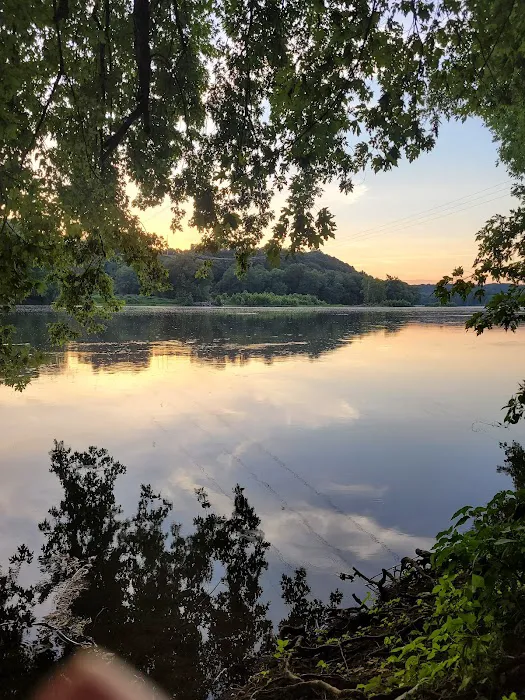 Bald Eagle Hiker Camper Campsite Picture 1