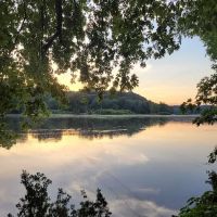 Bald Eagle Hiker Camper Campsite ico