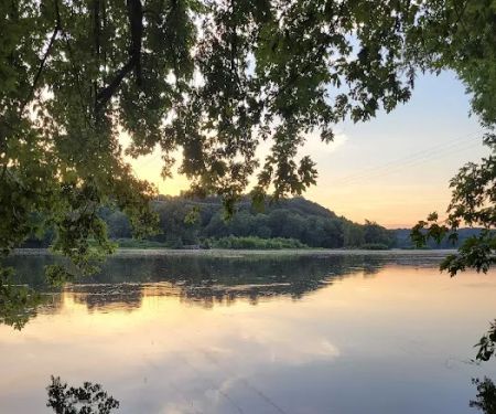 Bald Eagle Hiker Camper Campsite