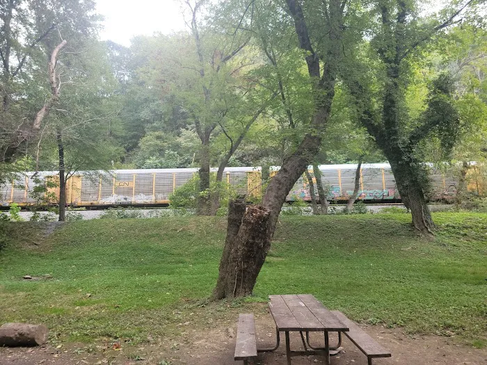 Bald Eagle Hiker Camper Campsite Picture 10