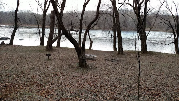 Bald Eagle Hiker Camper Campsite Picture 8