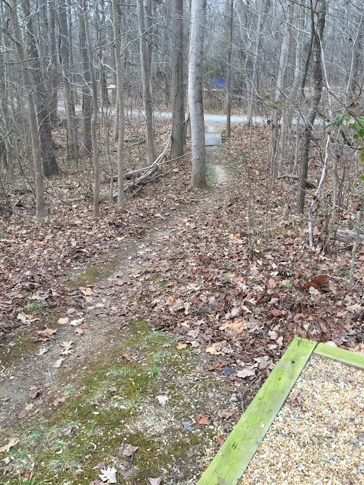 Campground Picture 3