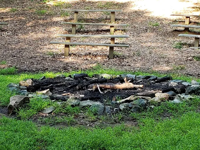 Turkey Run Ridge Group Campground Picture 4