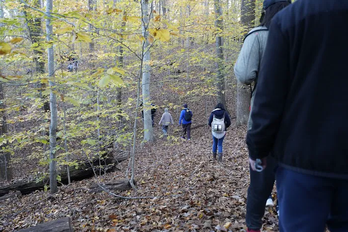 Turkey Run Ridge Group Campground Picture 8