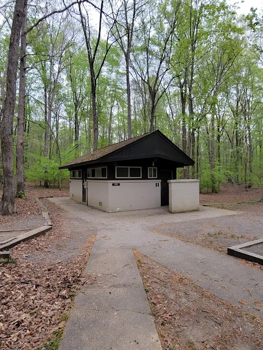 Turkey Run Ridge Group Campground Picture 10