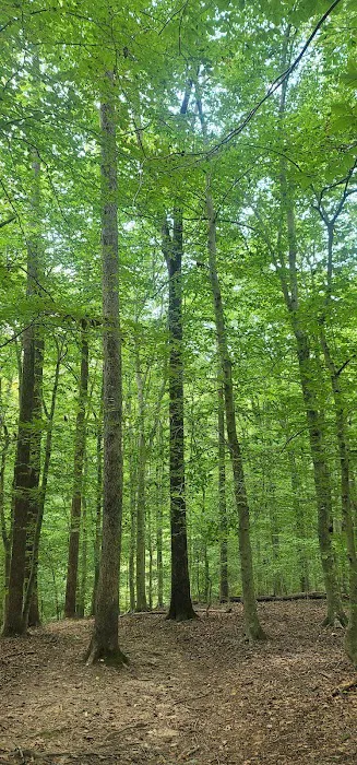 Turkey Run Ridge Group Campground Picture 7