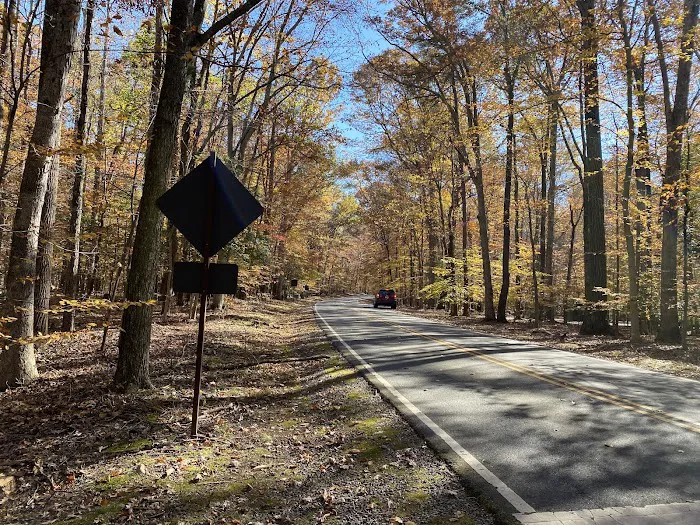 Turkey Run Ridge Group Campground Picture 6