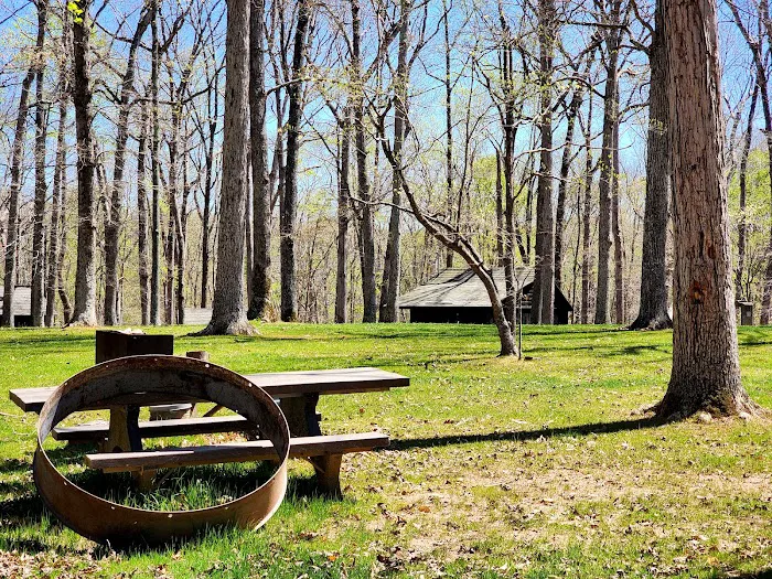 Cabin Camp 3 - Orenda Check-In Picture 9