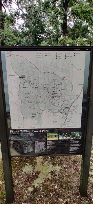 Cabin Camp 3 - Orenda Check-In Picture 6