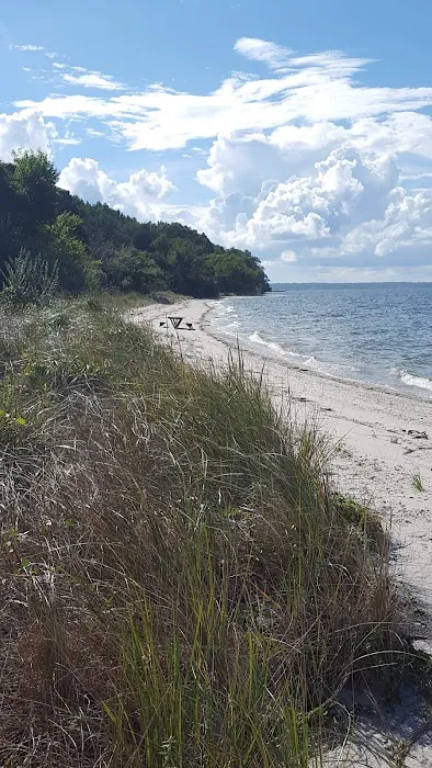 Beach House Picture 2