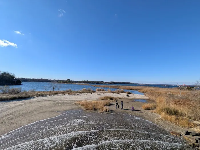 Hog Point Campground Picture 4