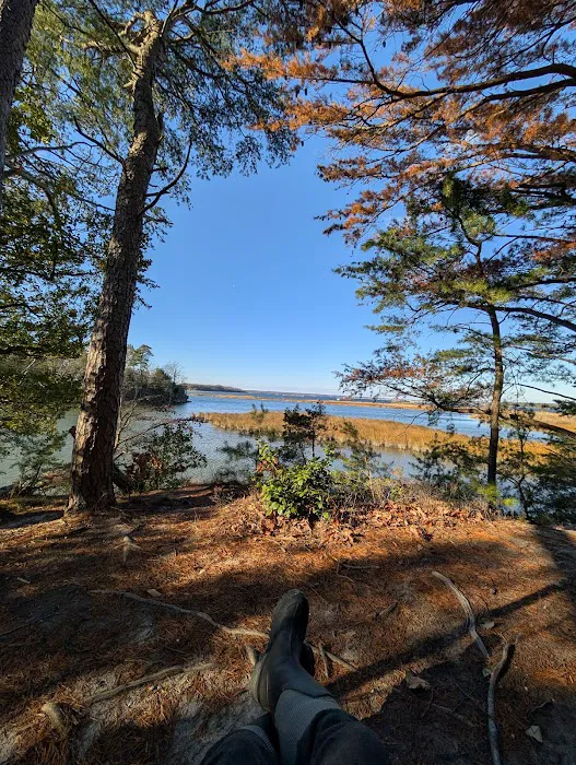 Hog Point Campground Picture 5