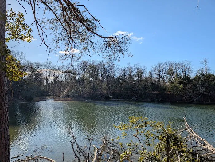 Hog Point Campground Picture 8