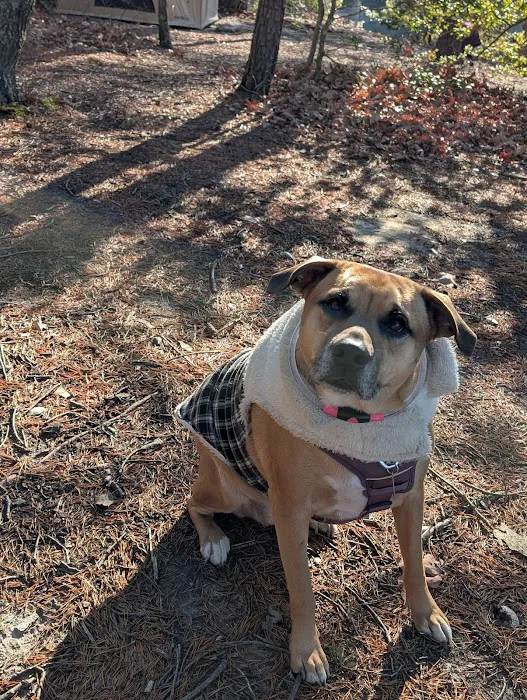 Hog Point Campground Picture 9