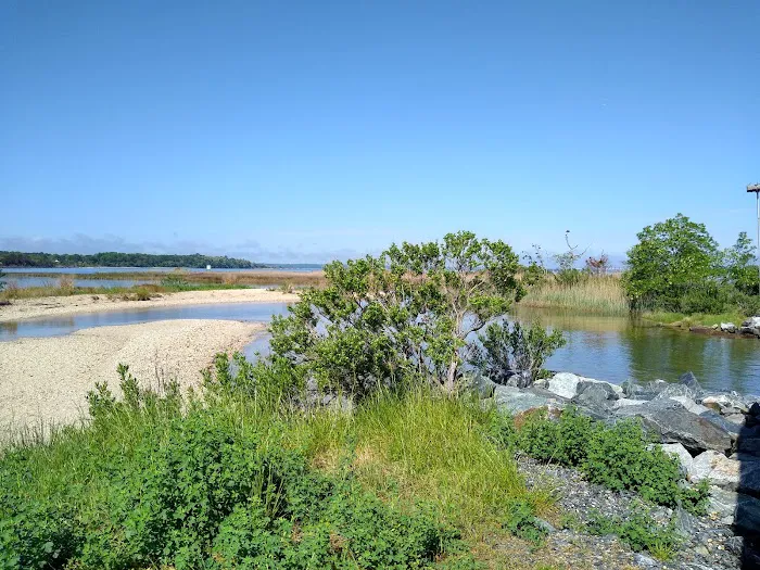 Paradise Grove Campground Picture 5