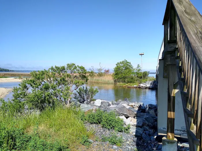 Paradise Grove Campground Picture 8