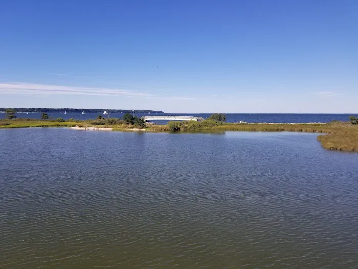 Paradise Grove Campground Picture 4