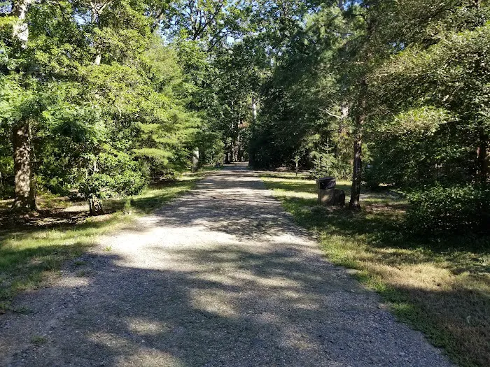 Paradise Grove Campground Picture 6