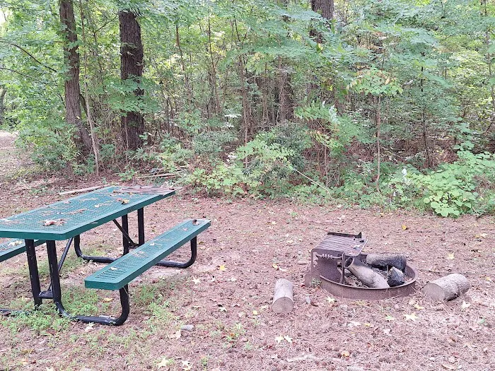 Goose Creek Campground Picture 8