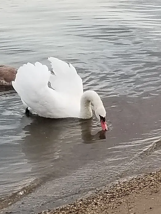 Monroe Bay Campground Picture 2