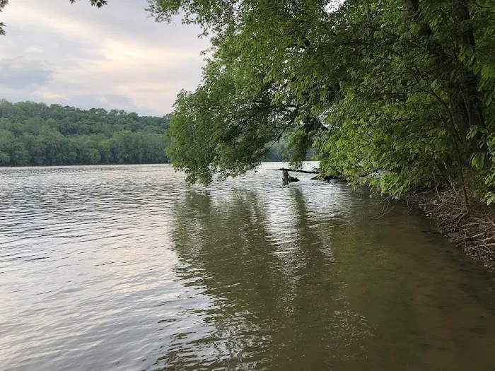 Turtle Run Hiker Biker Campsite Picture 9