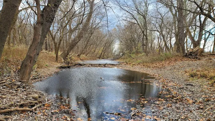 Chisel Branch Hiker Biker Campsite Picture 8