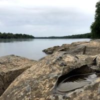 Chisel Branch Hiker Biker Campsite ico