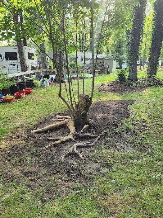 Big Timber Campground Picture 5