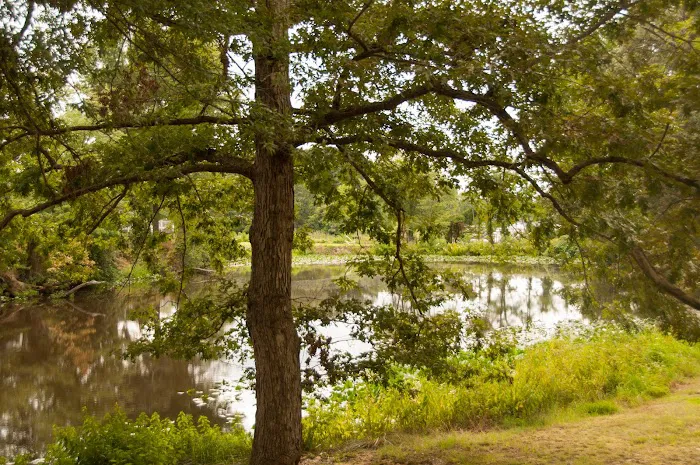 Thousand Trails Harbor View Picture 8