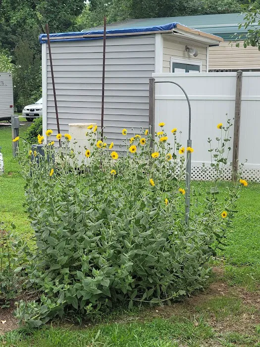 Four Winds Campgrounds Picture 6