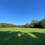 Dennis Point Marina & Campground