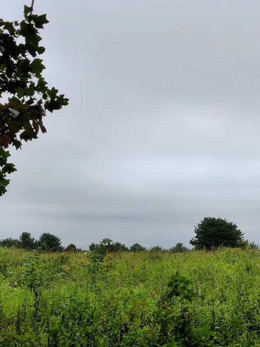 Dahlgren Backpacker Campground Picture 3