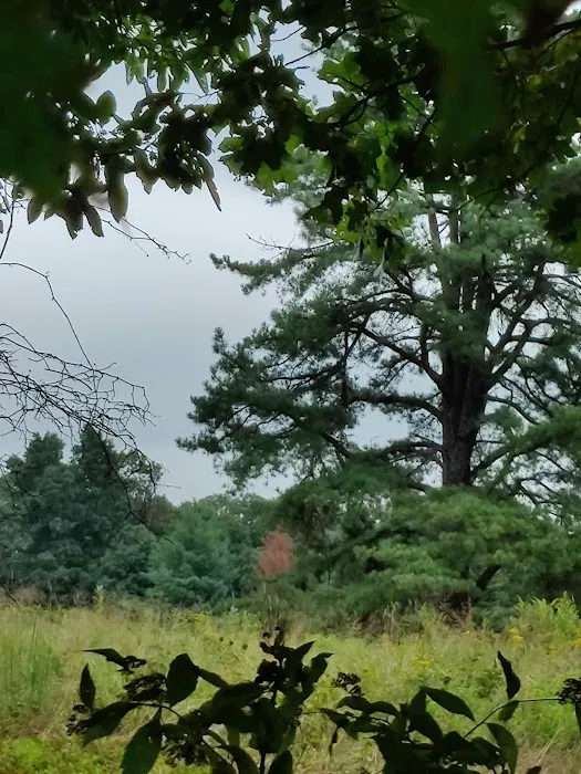 Dahlgren Backpacker Campground Picture 9