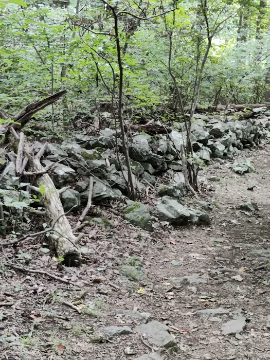 Dahlgren Backpacker Campground Picture 7