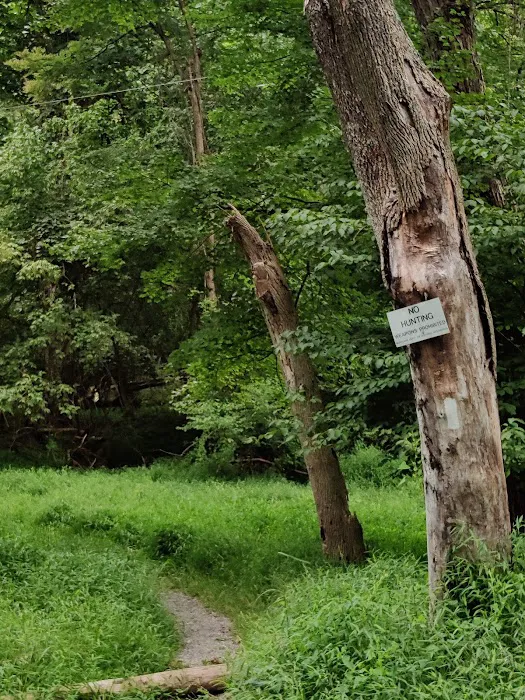 Dahlgren Backpacker Campground Picture 5