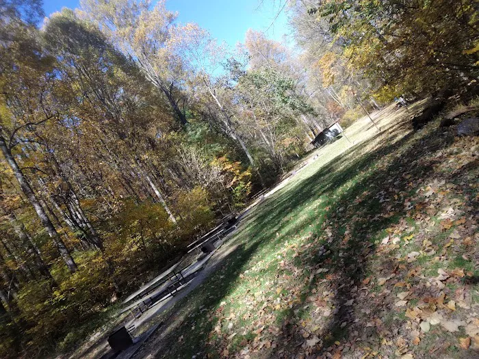 Dahlgren Backpacker Campground Picture 2