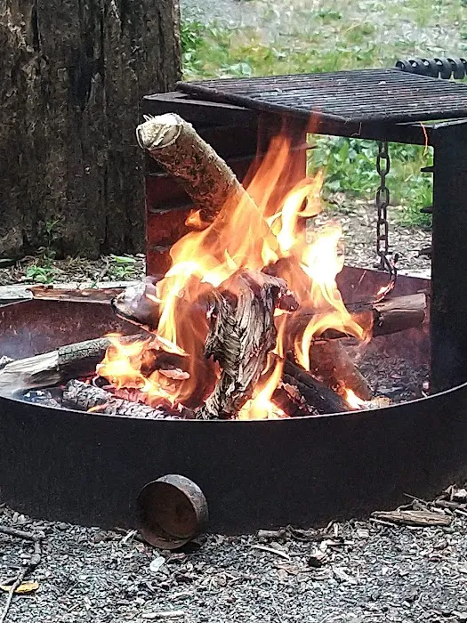 Dahlgren Backpacker Campground Picture 4