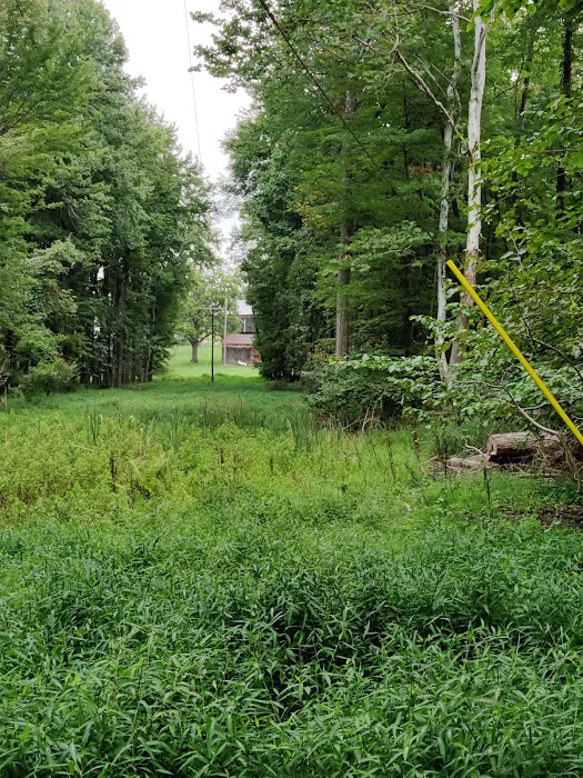 Dahlgren Backpacker Campground Picture 6