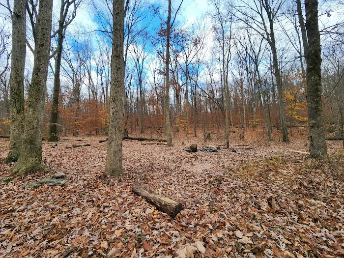 Crampton Gap Campsite Picture 5