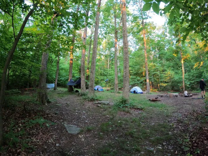 Crampton Gap Campsite Picture 2