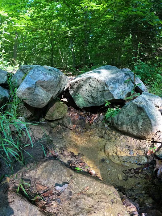Crampton Gap Campsite Picture 1