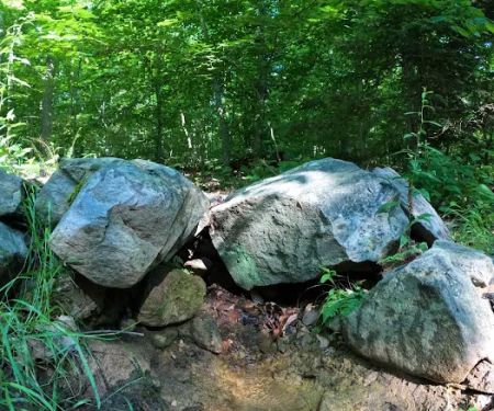 Crampton Gap Campsite
