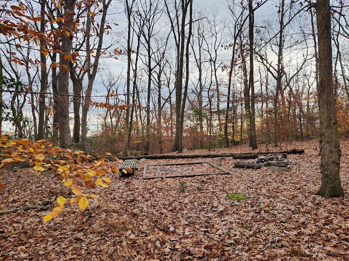 Crampton Gap Campsite Picture 4